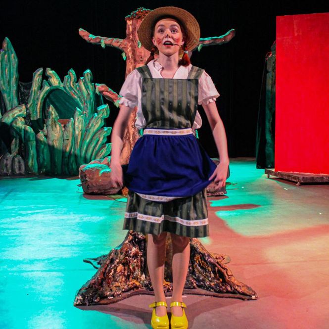 Hovedbilde Stabbursmusa