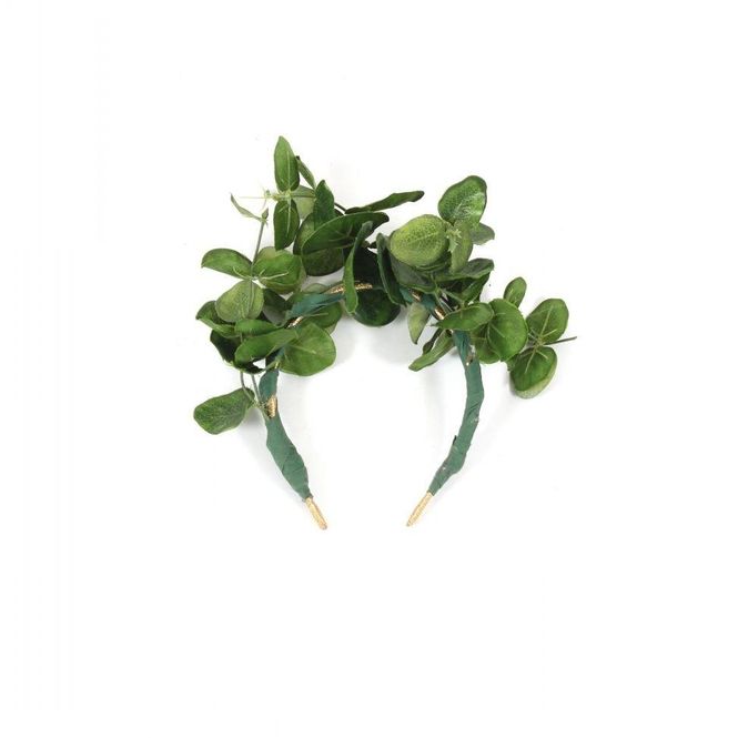 Hovedbilde Hårbøyle med grønne planter